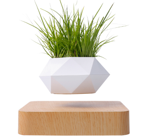Floating Flower Pot for Home Decor