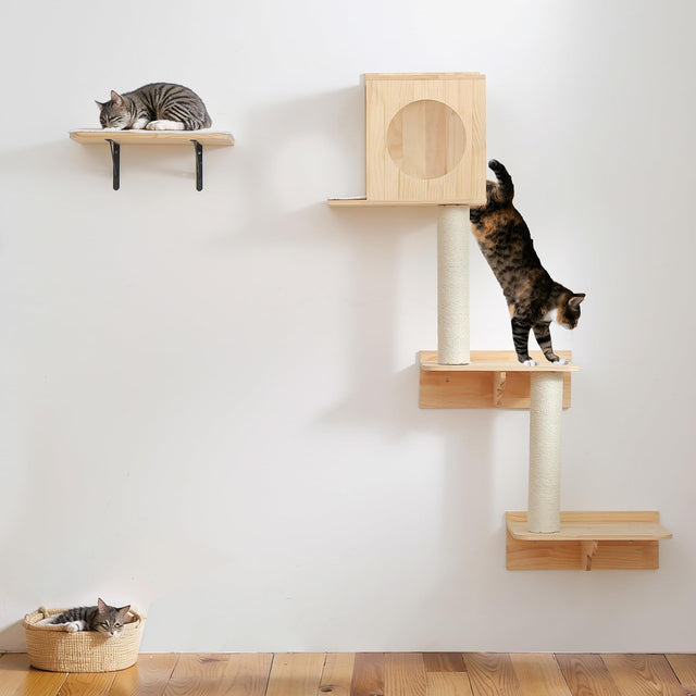 Wall Mounted Cat Tree Cat Tree Wall Mounted Wall Cat Tree