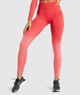 Seamless Yoga Pants for Women - Sports Activewear