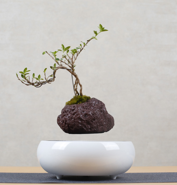 Floating Flower Pot for Home Decor