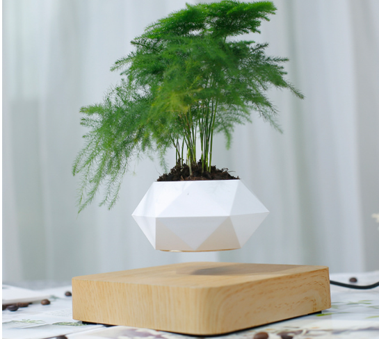 Floating Flower Pot for Home Decor