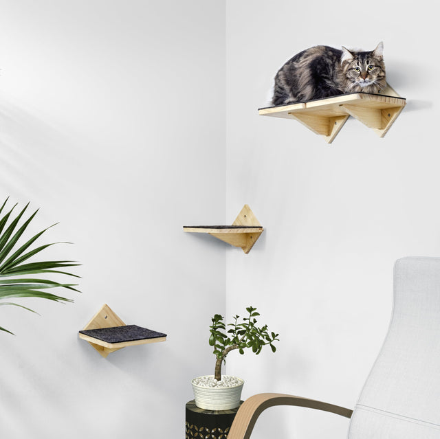 Safe & Sturdy Cat Wall Shelves with Strong Wall Anchors