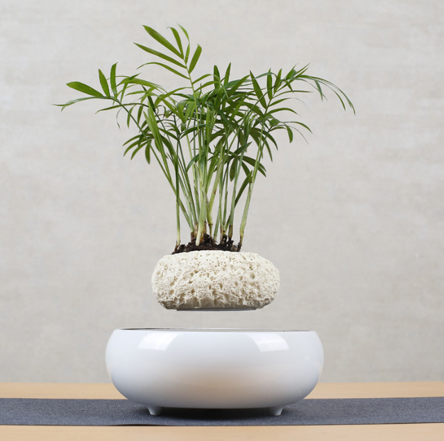 Floating Flower Pot for Home Decor