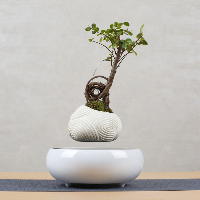 Floating Flower Pot for Home Decor