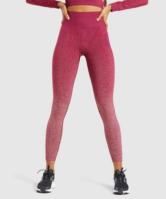 Seamless Yoga Pants for Women - Sports Activewear