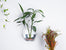 Wall Planter for Home Decor