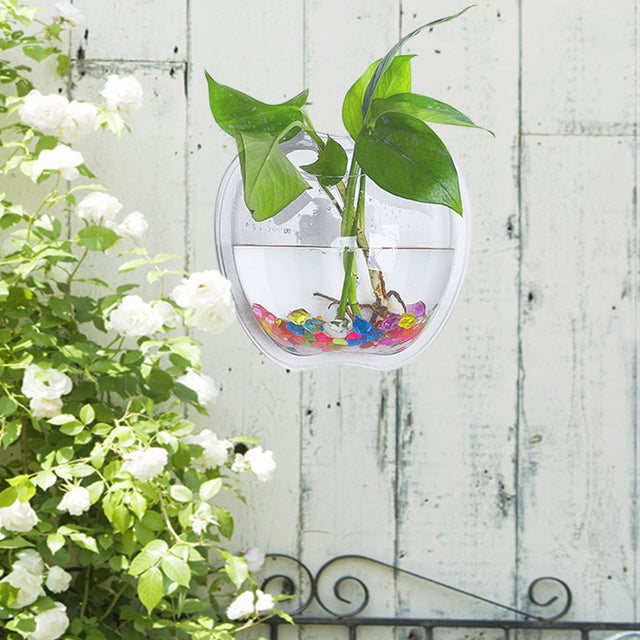 Wall Planter for Home Decor