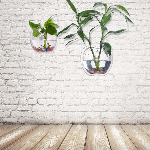 Wall Planter for Home Decor