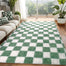FALARK Soft Area Rugs for Bedroom 6x9 Ft Sage Green and White Fluffy Rug Carpets Shaggy Fuzzy Indoor Modern Plush Rugs for Nursery Kids Girls Boys Room Home Decor