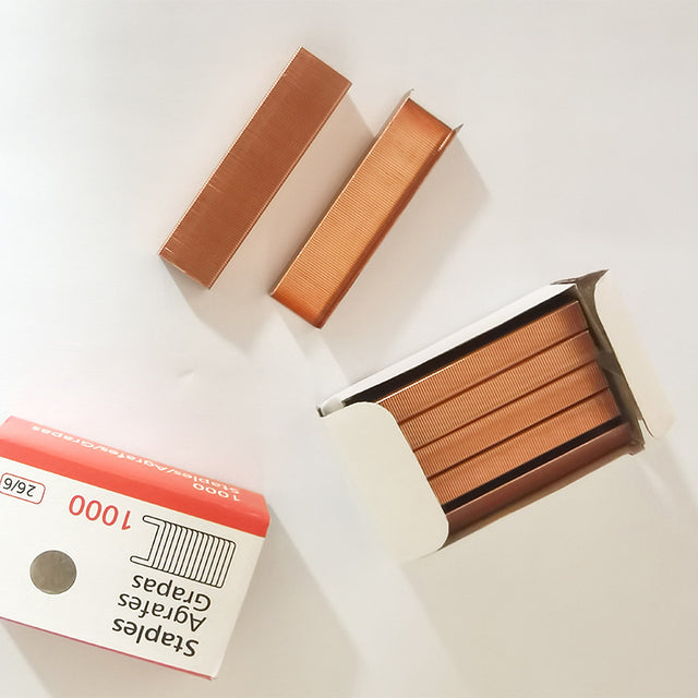 Standard Office Staples for Staplers - Wholesale Supply